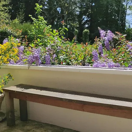 Nocleg ze śniadaniem 13 Bees 3*