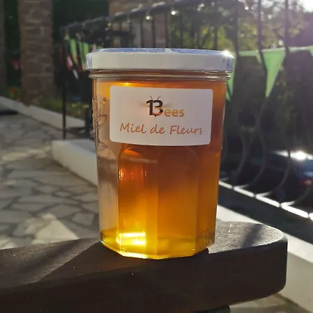 13 Bees Nocleg ze śniadaniem