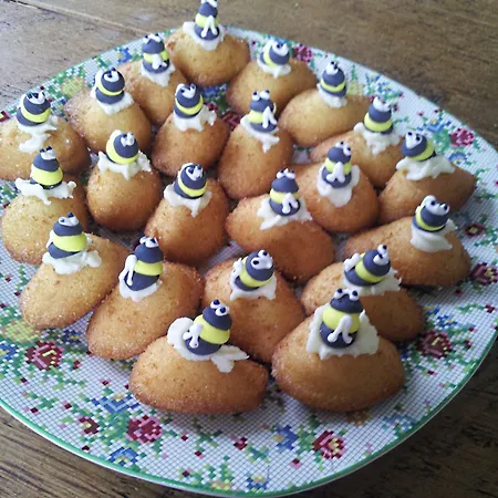 Nocleg ze śniadaniem 13 Bees Confolens