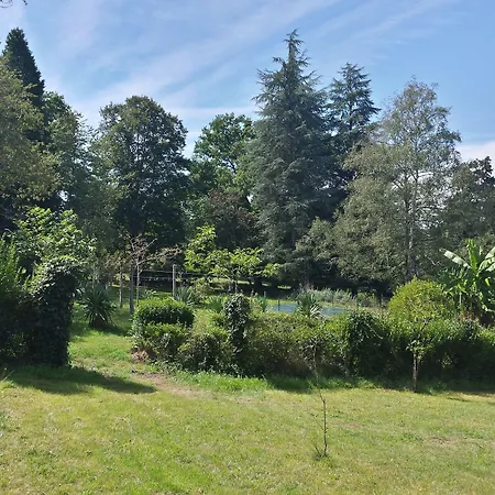 13 Bees Bed & Breakfast