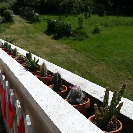 13 Bees Nocleg ze śniadaniem
