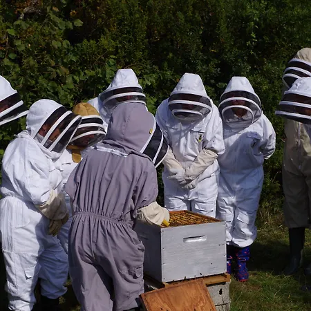 13 Bees Nocleg ze śniadaniem Confolens