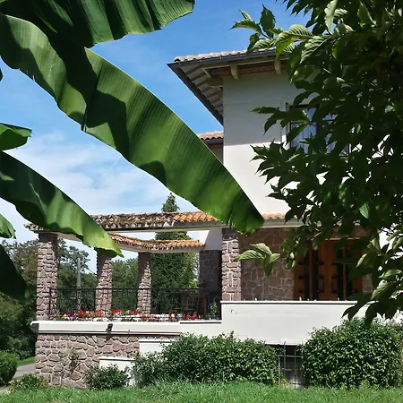 13 Bees Confolens