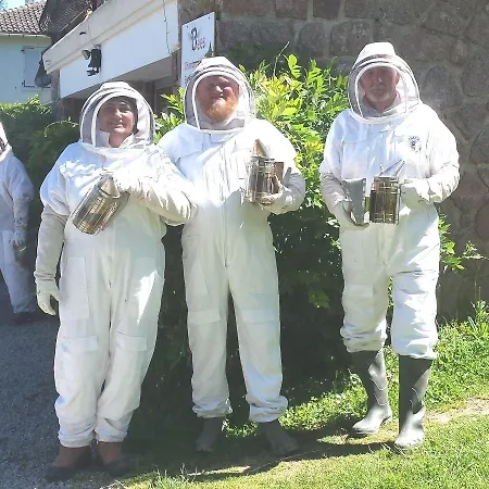 Nocleg ze śniadaniem 13 Bees