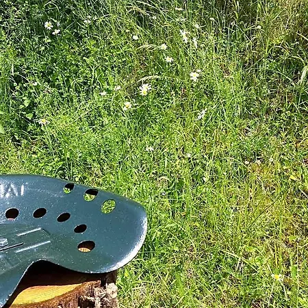 13 Bees Nocleg ze śniadaniem 3*