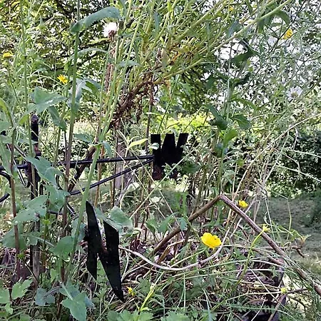 13 Bees Nocleg ze śniadaniem Confolens