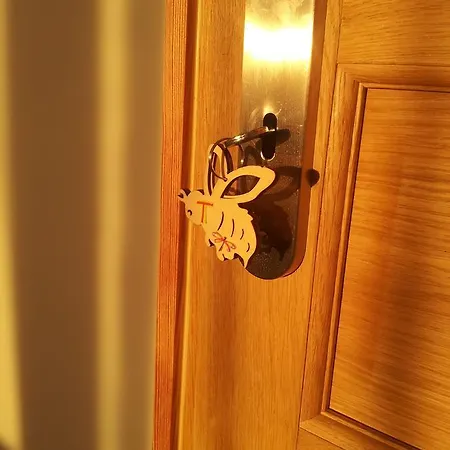 Nocleg ze śniadaniem 13 Bees 3*