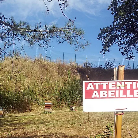 13 Bees 3* Confolens