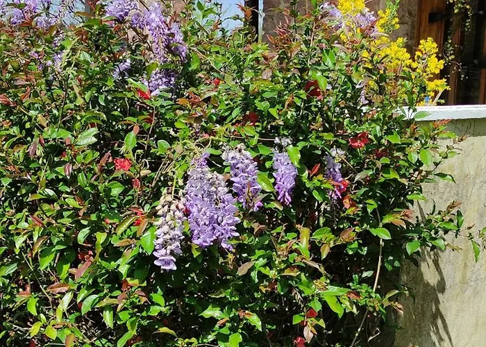 13 Bees