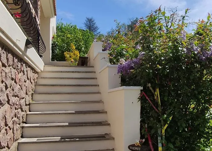 13 Bees 3* Confolens