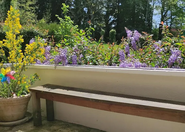 Bed & Breakfast 13 Bees 3*