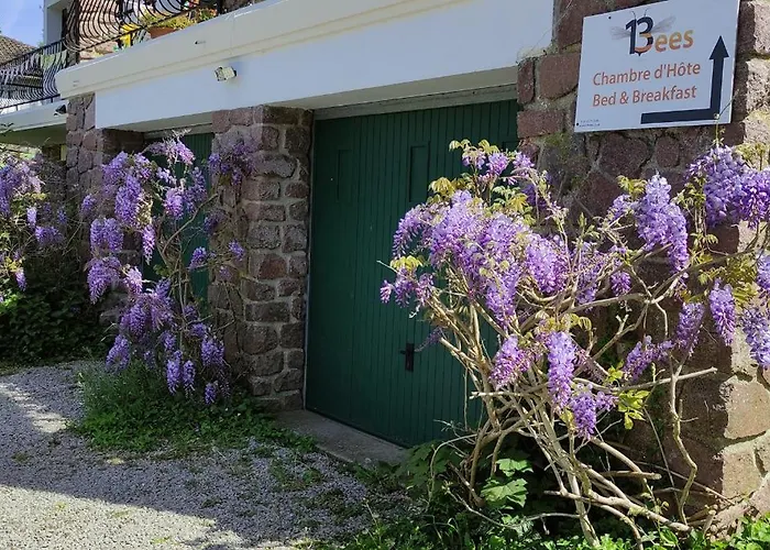 13 Bees 3* Confolens