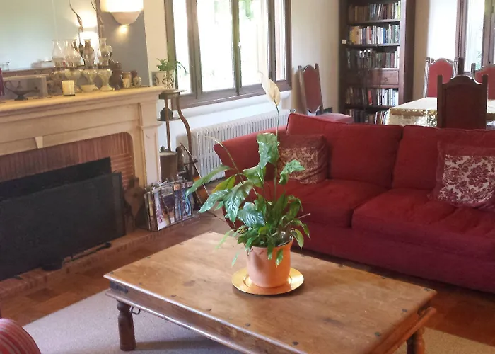 13 Bees 3* Confolens