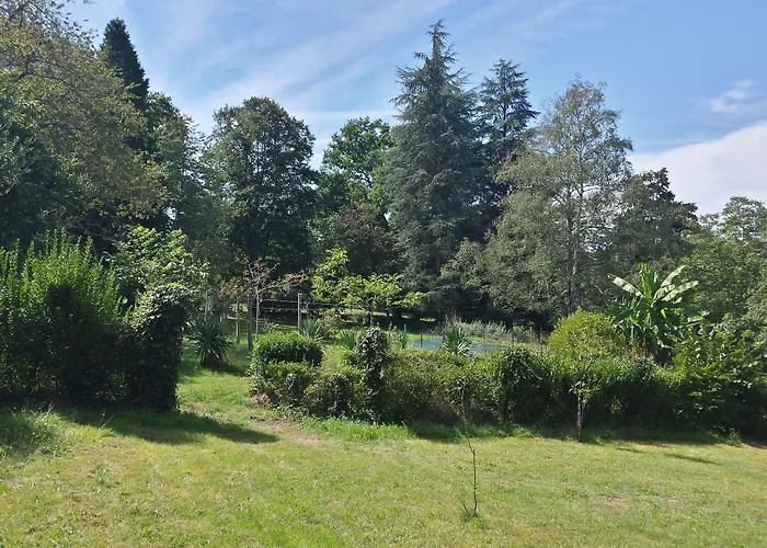 13 Bees Bed & Breakfast