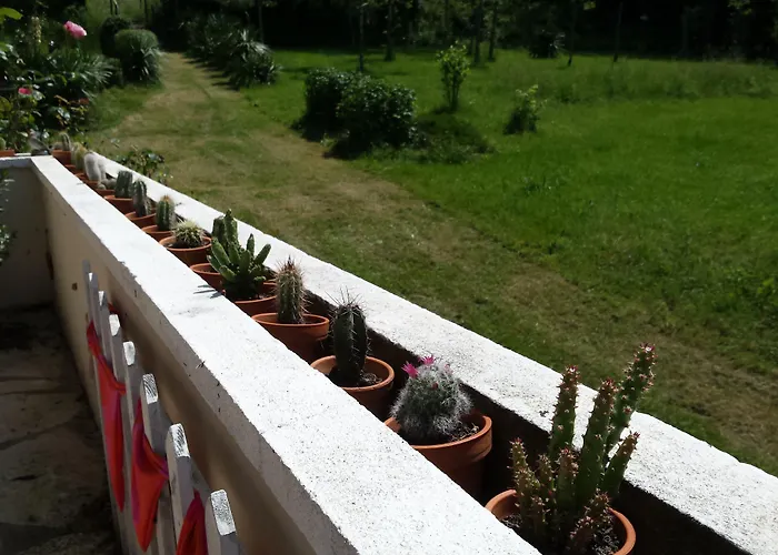 13 Bees Bed & Breakfast