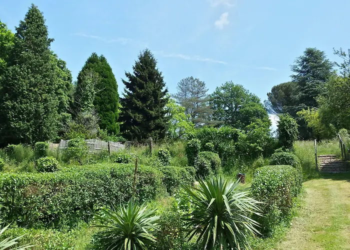 13 Bees Bed & Breakfast