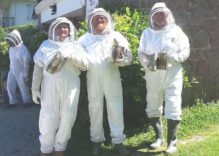 Bed & Breakfast 13 Bees