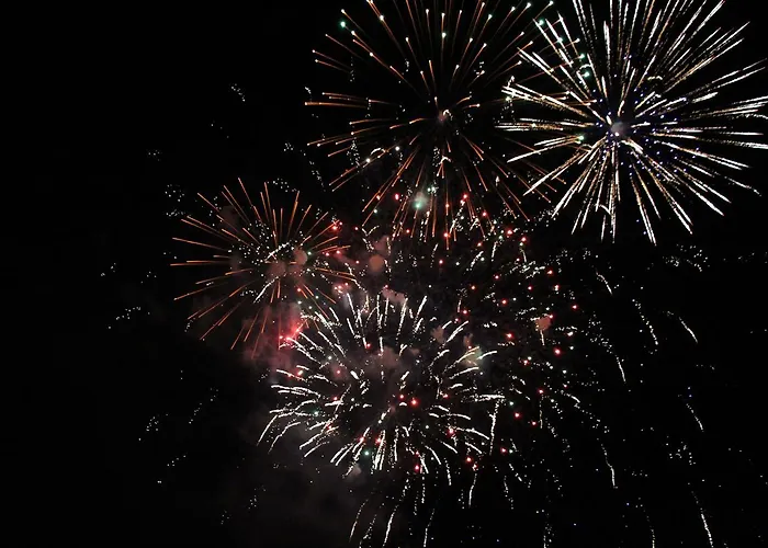 13 Bees 3* Confolens