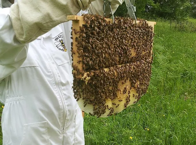 Bed & Breakfast 13 Bees 3*