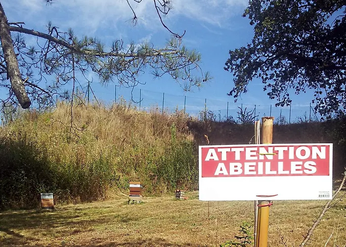 13 Bees 3* Confolens