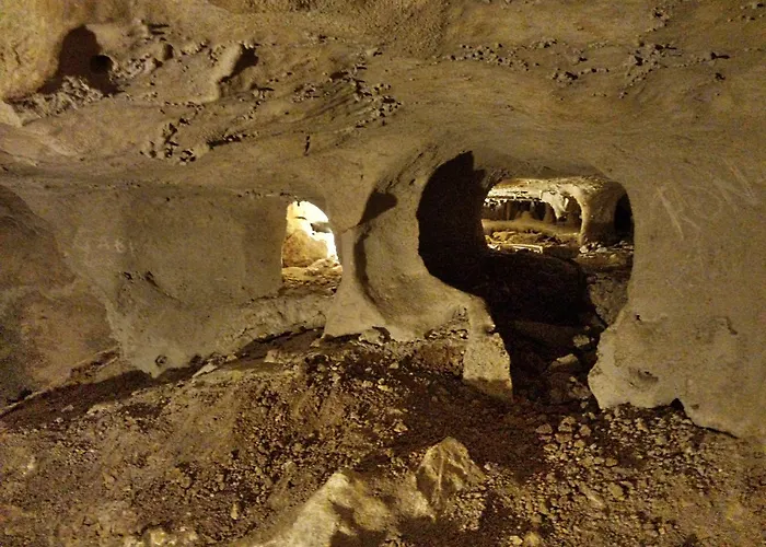 13 Bees 3* Confolens