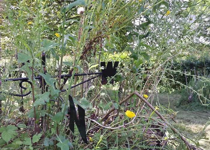 13 Bees 3* Confolens