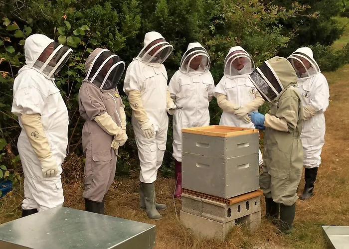 Bed & Breakfast 13 Bees 3*