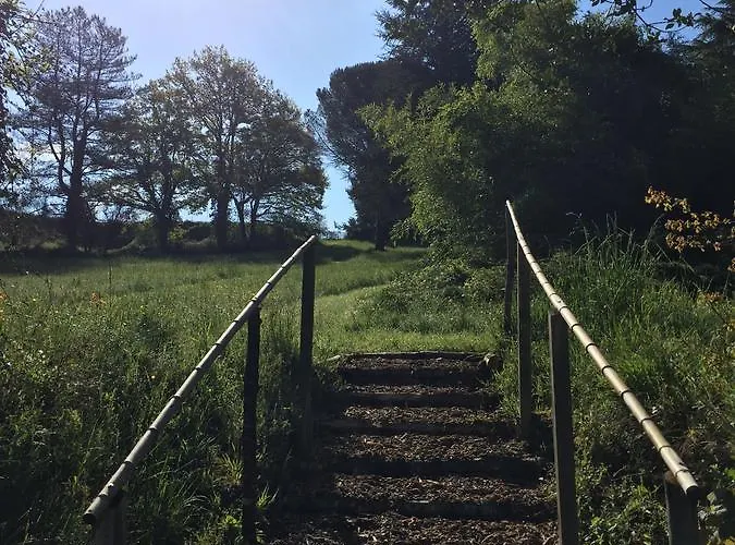 13 Bees 3* Confolens